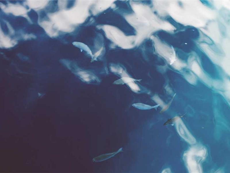 تیوب 17 اینچ